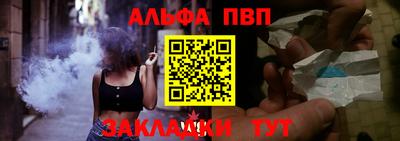 дмт Кингисепп