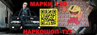 дмт Кингисепп
