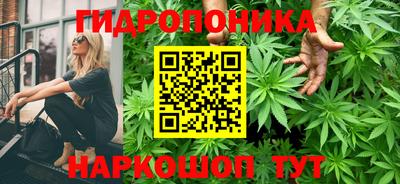 кокс Кинель