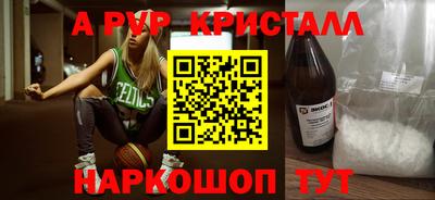 дмт Кингисепп