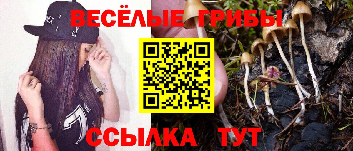 Костомукша  купить наркотик  Вход с VPN  Псилоцибиновые грибы Cubensis 
