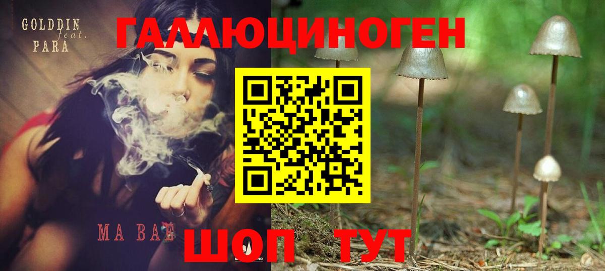 Псилоцибиновые грибы MAGIC MUSHROOMS Костомукша